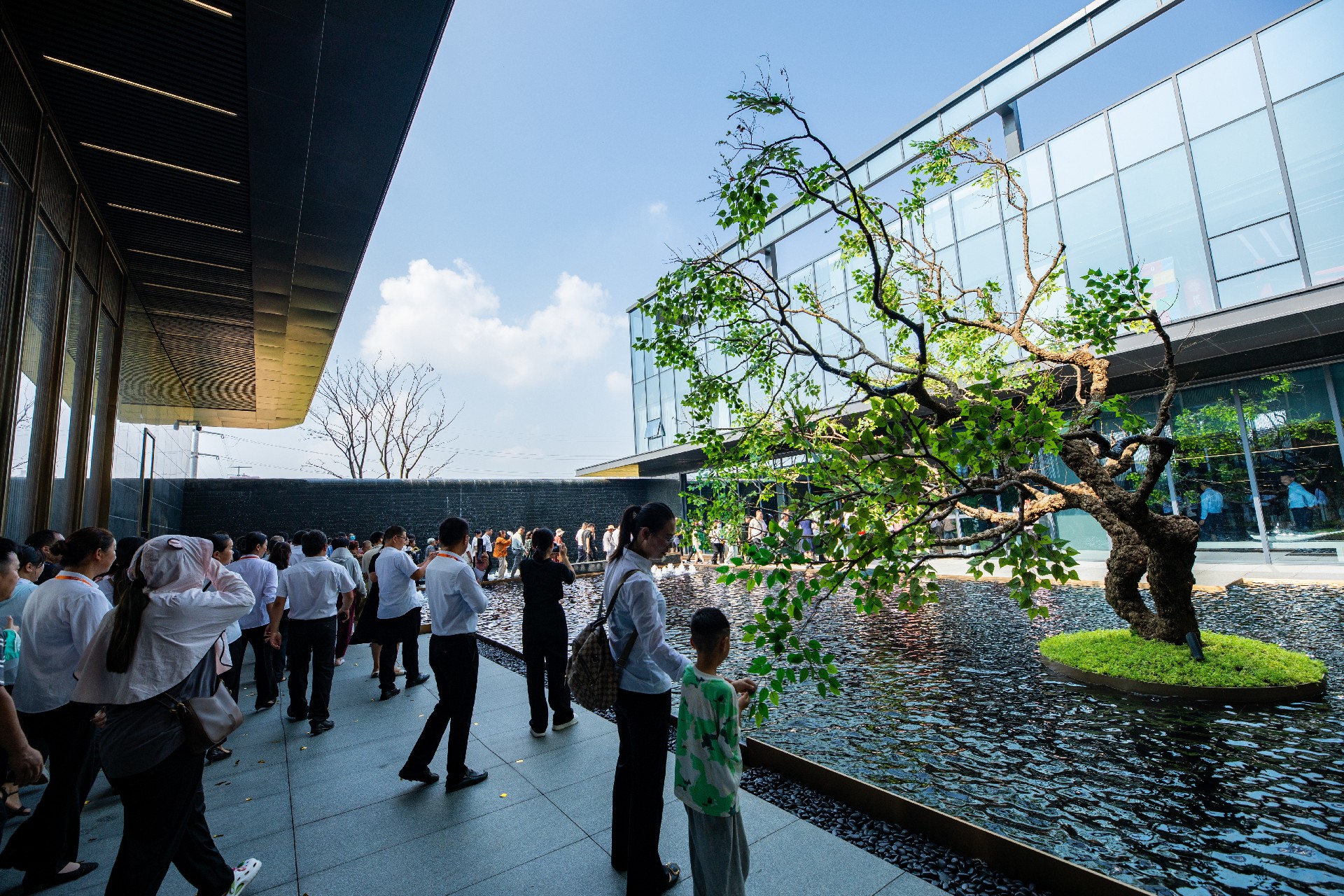 建控荟柚国际活力康养示范区盛大开放